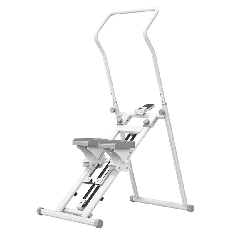 Multifunctional stair climbe