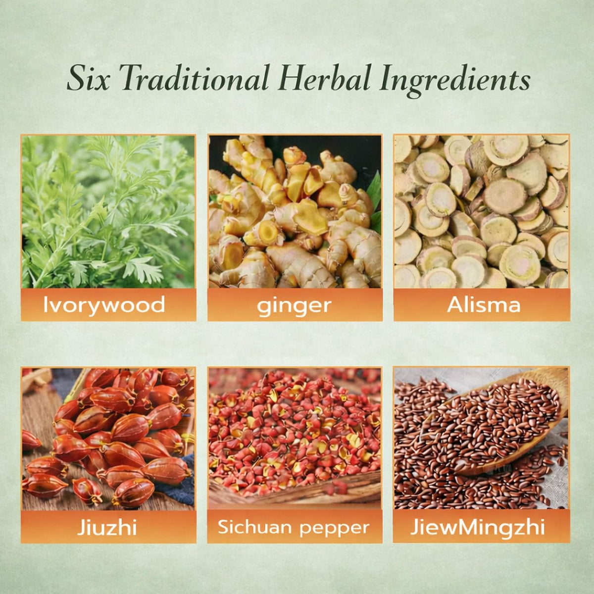 Herbal Patch Pad Balance