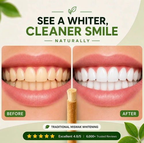 Miswak Stick