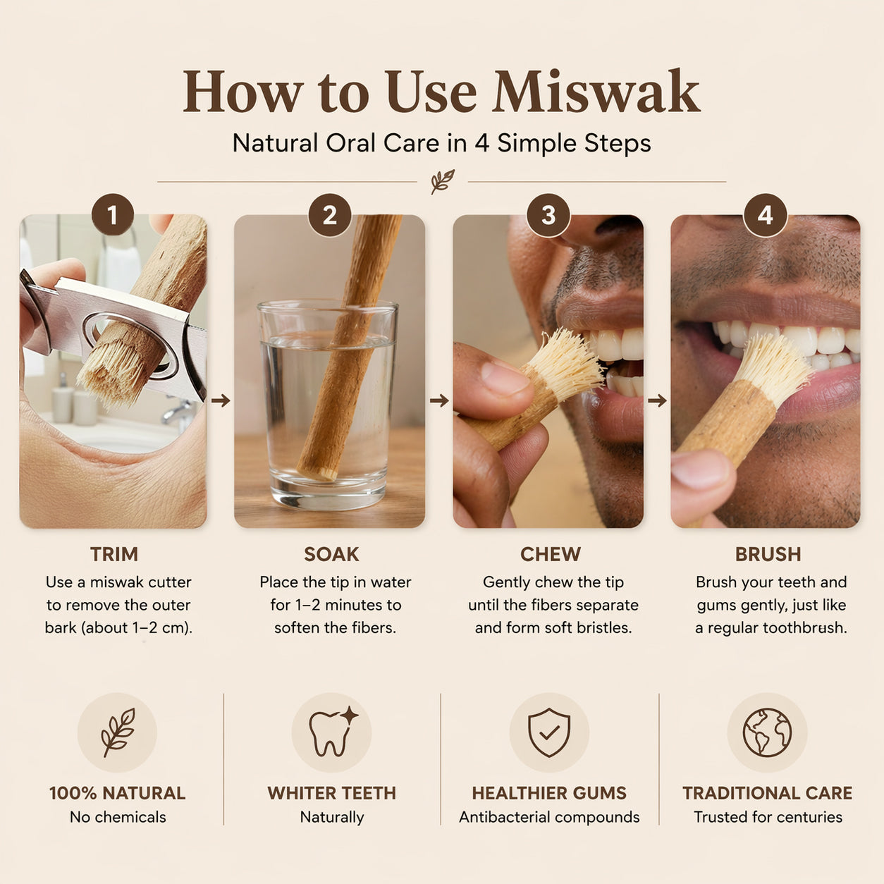 Ancient Miswak Toothbrush