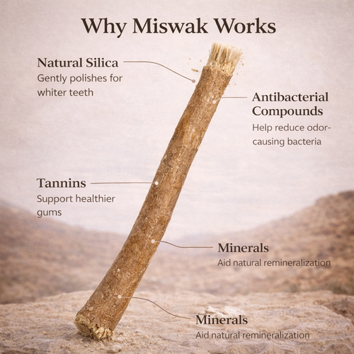 Ancient Miswak Toothbrush