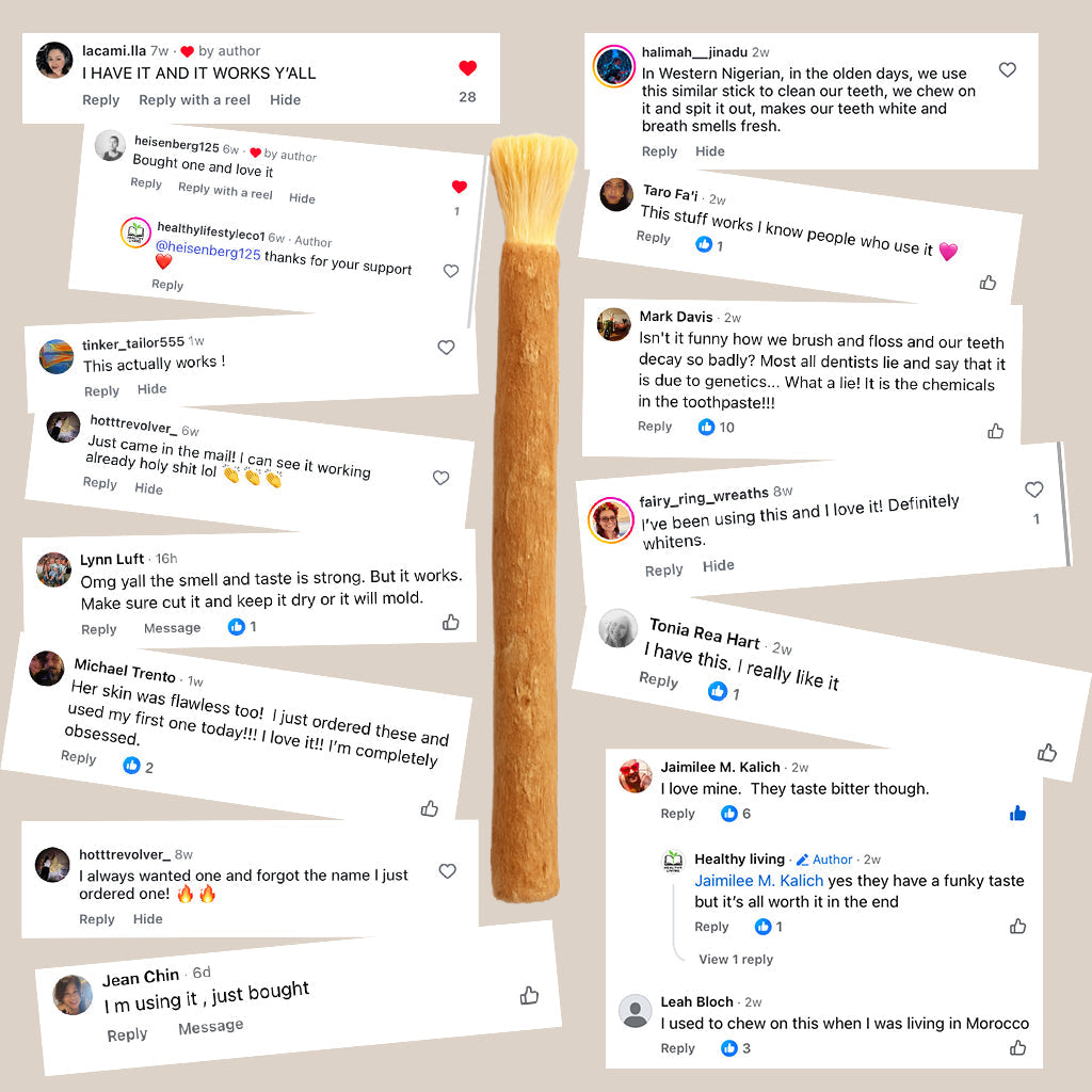 Ancient Miswak Toothbrush