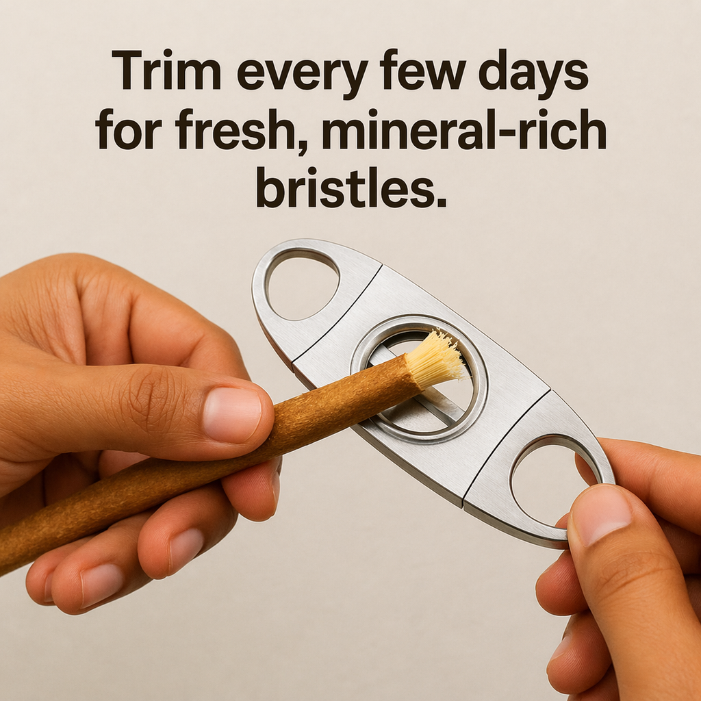 Ancient Miswak Toothbrush