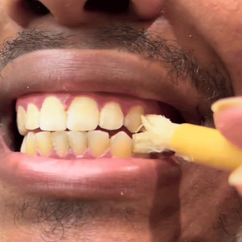Ancient Miswak Toothbrush